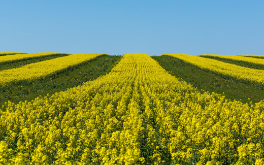 986341 (a): :2880x1800